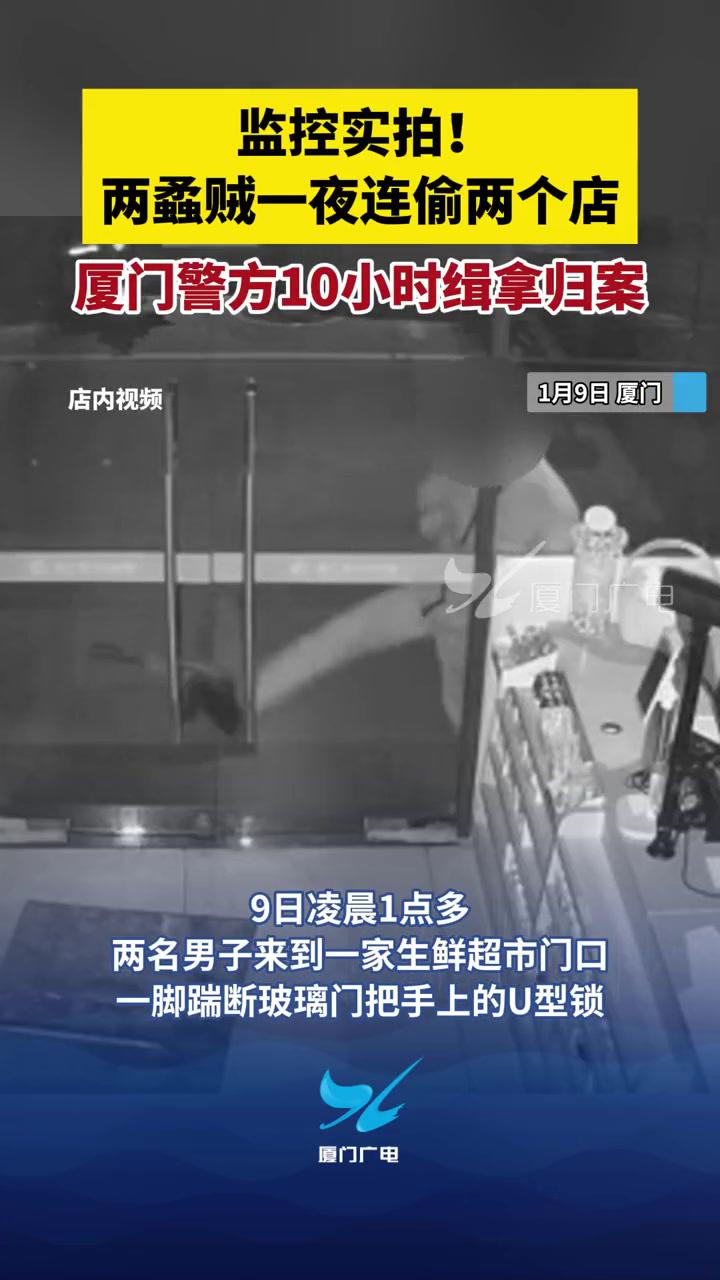 厦门最新盗贼的日常趣事揭秘
