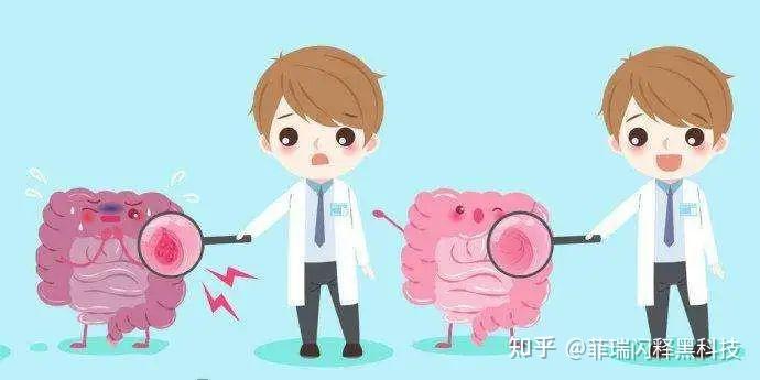 高科技产品重塑生活，体验前沿魅力，探索肠鸣最新技术