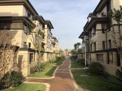 浠水房价最新动态，科技重塑居住梦想，智能生活触手可及