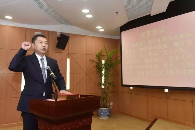 松江区长风采，时代领航者引领区域发展新征程