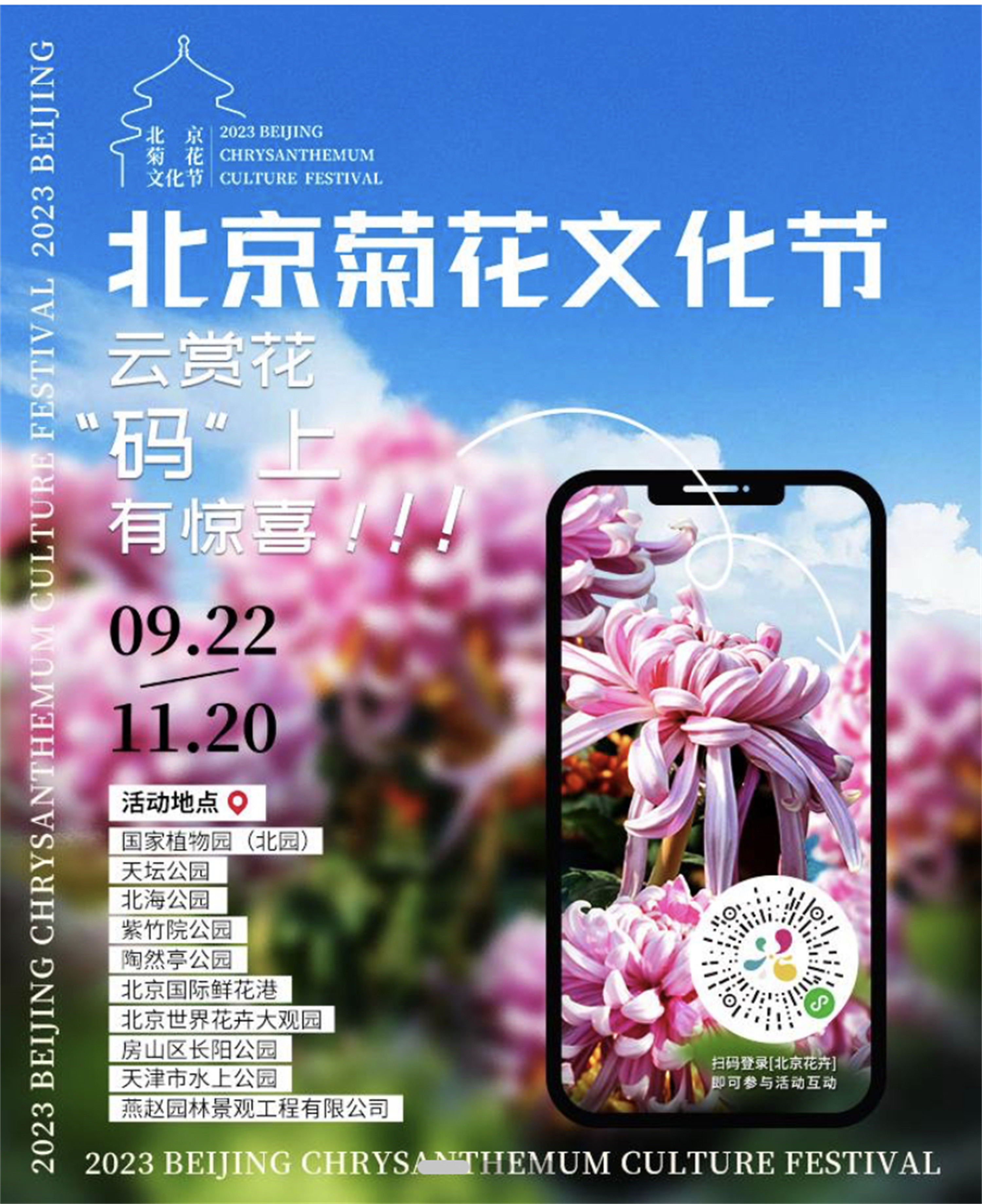 北京顺义莲竹花最新种植与欣赏指南，从种植到欣赏的详细步骤解析