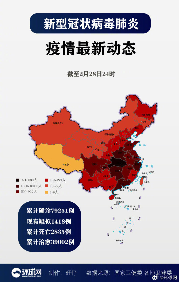 中国疫情图最新动态，变化中的学习之路与自信的力量展现