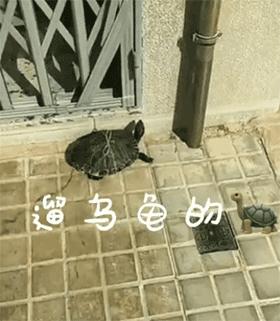 西班牙疫情最新动态与巷弄深处的独特风情和隐藏瑰宝