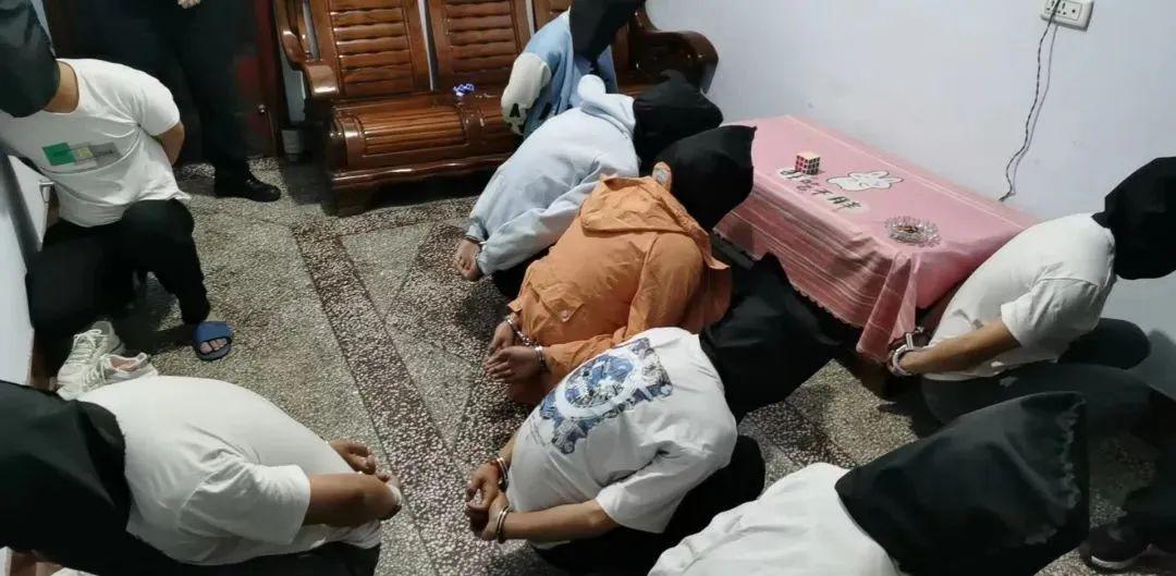 揭秘最新犯罪团伙，现象、影响及应对策略全解析