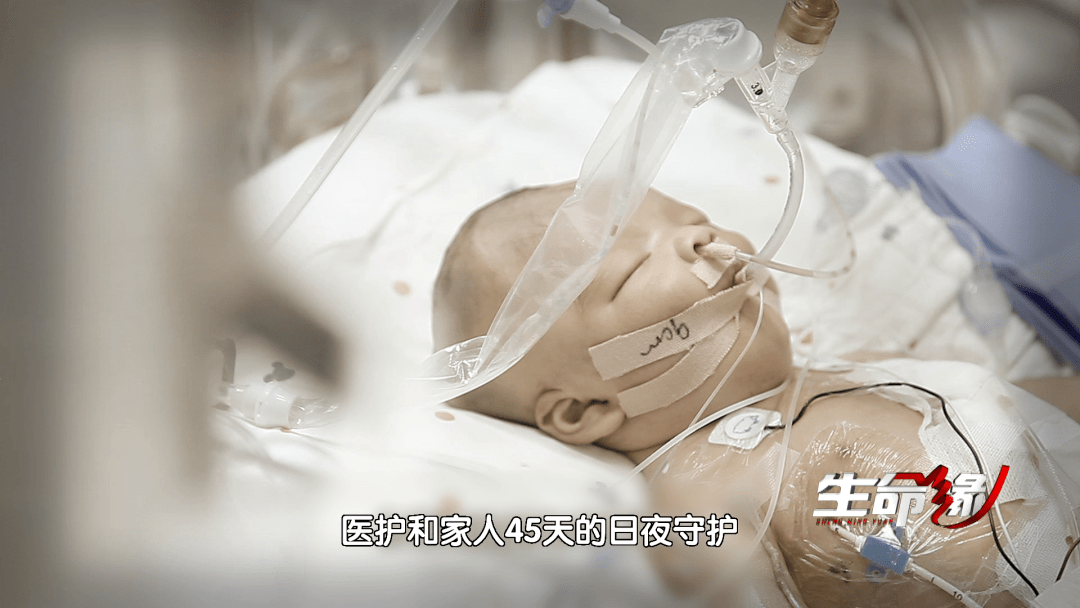 生命缘最新版任务指南详解