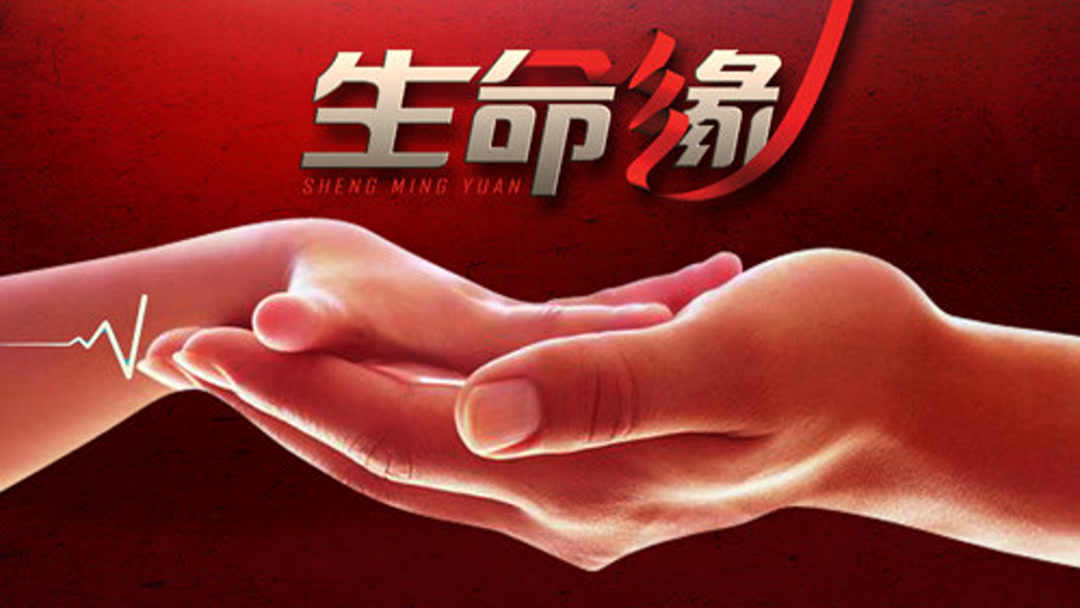 生命缘最新版任务指南详解