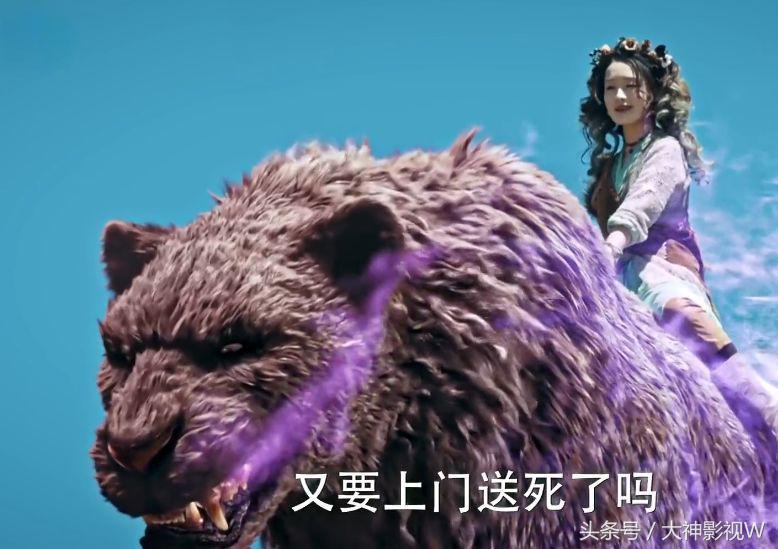 传统与现代交融的医术传奇，婿医最新章节
