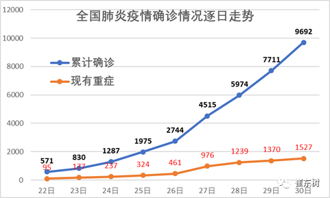 最新全国肺炎确诊统计详解，步骤指南与实时更新数据概览