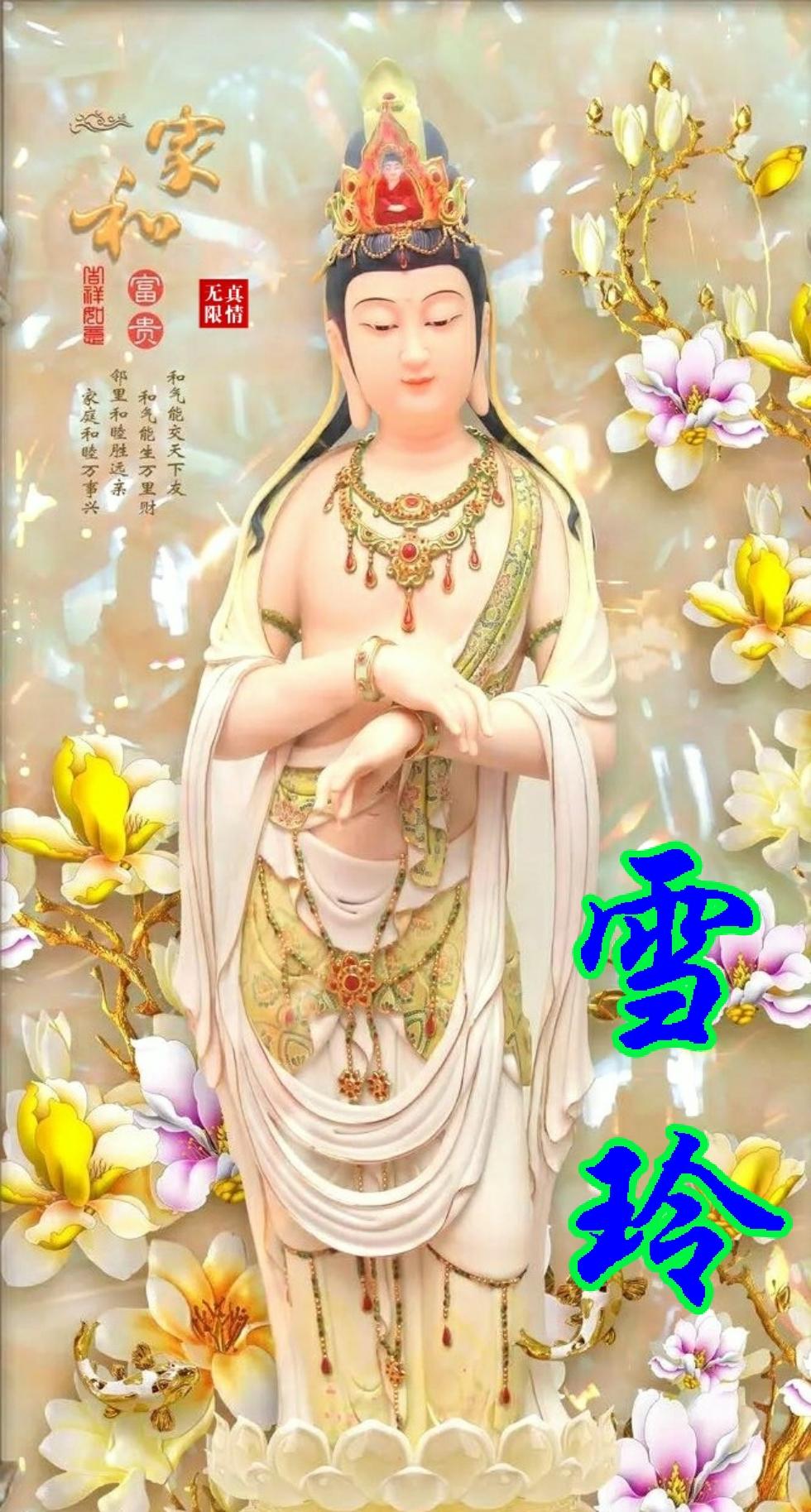 心欲最新章节获取指南,从初学者到进阶用户的步骤教程