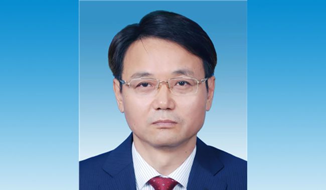 陈志宁最新职务揭秘，小巷中的独特风味之旅探索者